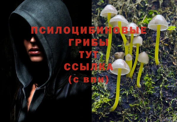 соль ск Вязники